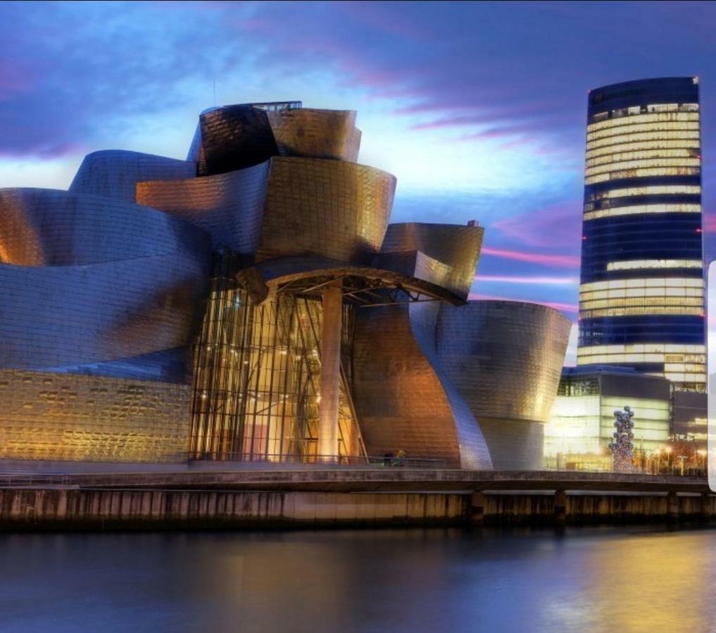 San Mames View Apartment Bilbao Luaran gambar